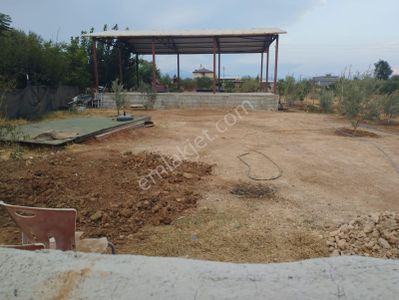 Arsa-Konut İmarlı