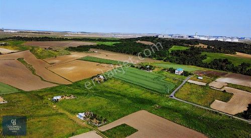 Arsa-Tarla