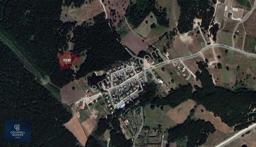 Arsa-Tarla