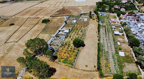 Arsa-Tarla