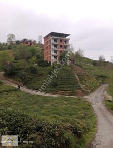 Arsa-Tarla