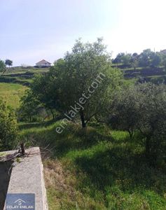 Arsa-Tarla