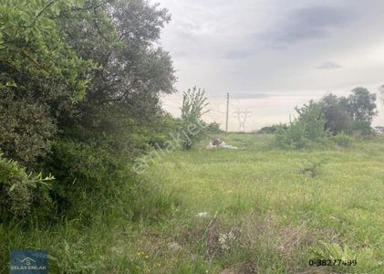 Arsa-Tarla