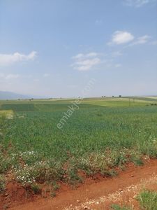 Arsa-Tarla
