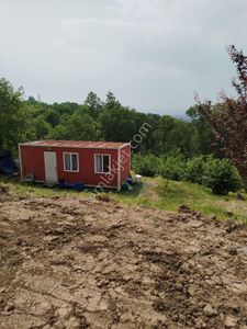 Arsa-Tarla