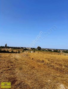 Arsa-Tarla