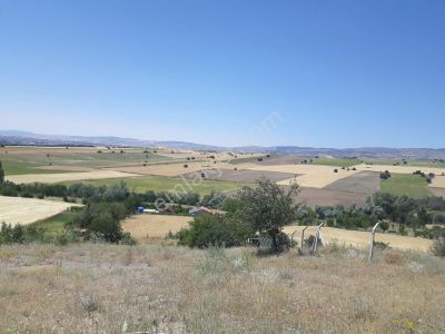 Arsa-Tarla