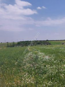 Arsa-Tarla