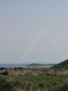 Arsa-Tarla