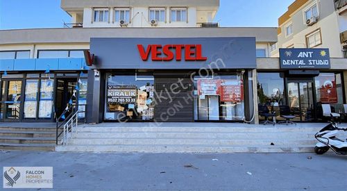 İşyeri-Dükkan & Mağaza