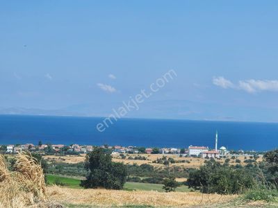 Arsa-Tarla