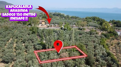 Arsa-Tarla