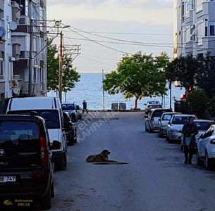 Konut-Daire
