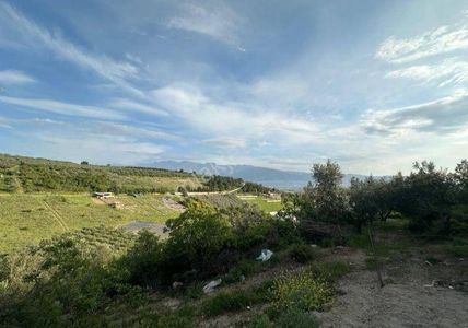 Arsa-Tarla