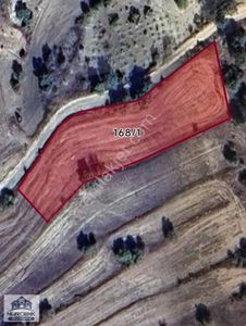 Arsa-Tarla