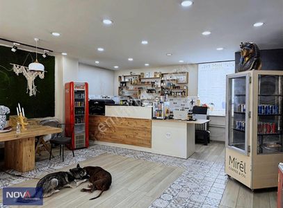 İşyeri-Kafe & Bar
