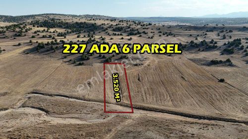 Arsa-Tarla