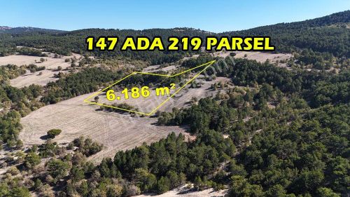 Arsa-Tarla