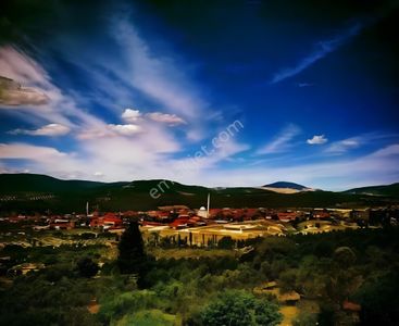 Arsa-Tarla