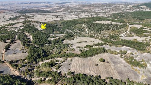 Arsa-Tarla