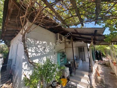 Konut-Çiftlik Evi