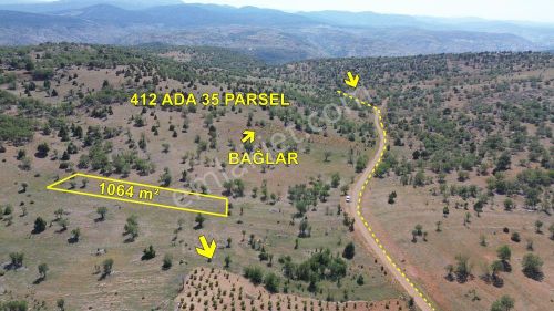 Arsa-Tarla