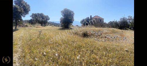 Arsa-Konut İmarlı