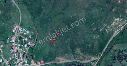 Arsa-Tarla