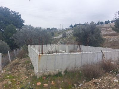 Arsa-Tarla