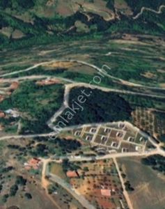 Arsa-Tarla