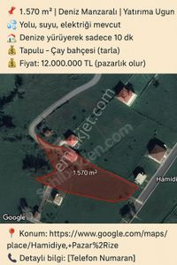 Arsa-Tarla