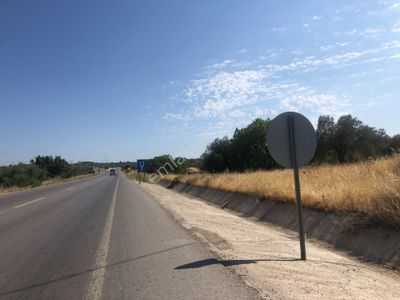 Arsa-Tarla