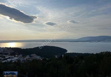 Arsa-Konut İmarlı