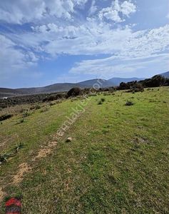 Arsa-Konut İmarlı