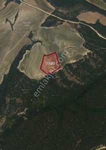 Arsa-Tarla