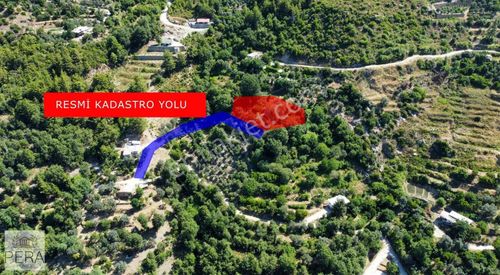 Arsa-Konut İmarlı