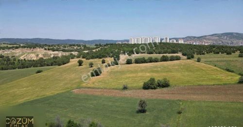 Arsa-Tarla