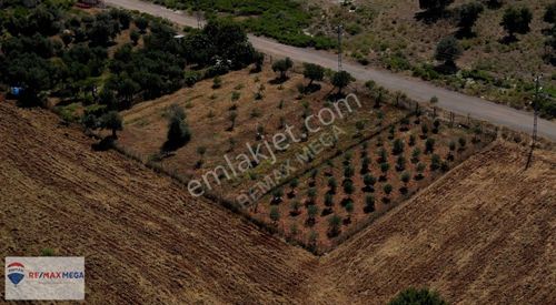 Arsa-Villa İmarlı