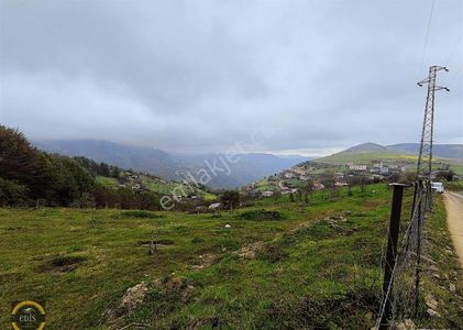Arsa-Konut İmarlı