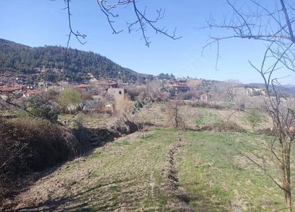 Arsa-Tarla