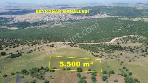 Arsa-Tarla