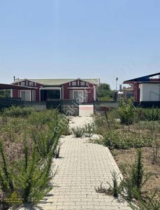 Arsa-Tarla