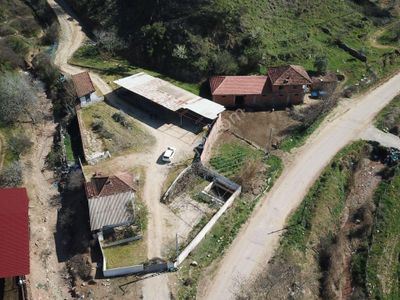 Arsa-Zeytinlik