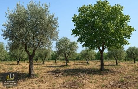 Arsa-Tarla