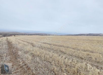 Arsa-Tarla