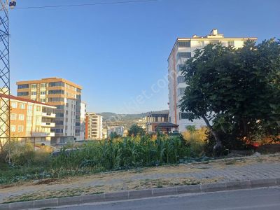 Arsa-Konut İmarlı
