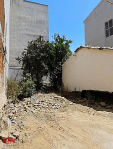 Arsa-Konut İmarlı