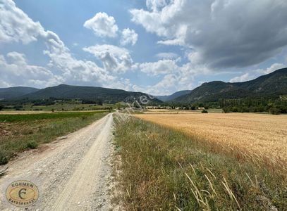 Arsa-Tarla