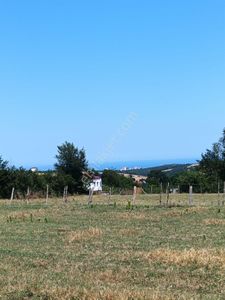 Arsa-Tarla