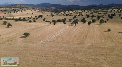 Arsa-Tarla